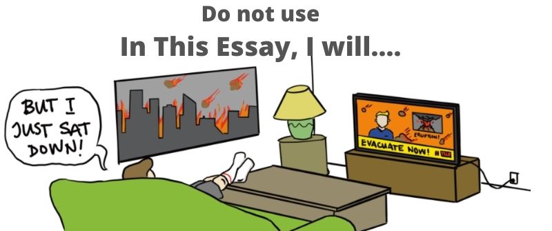 In this Essay I Will